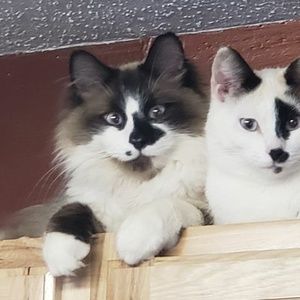 Meet your Posher, Lori